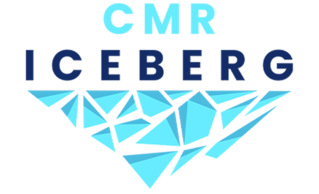 Cemer Service Logo - 1