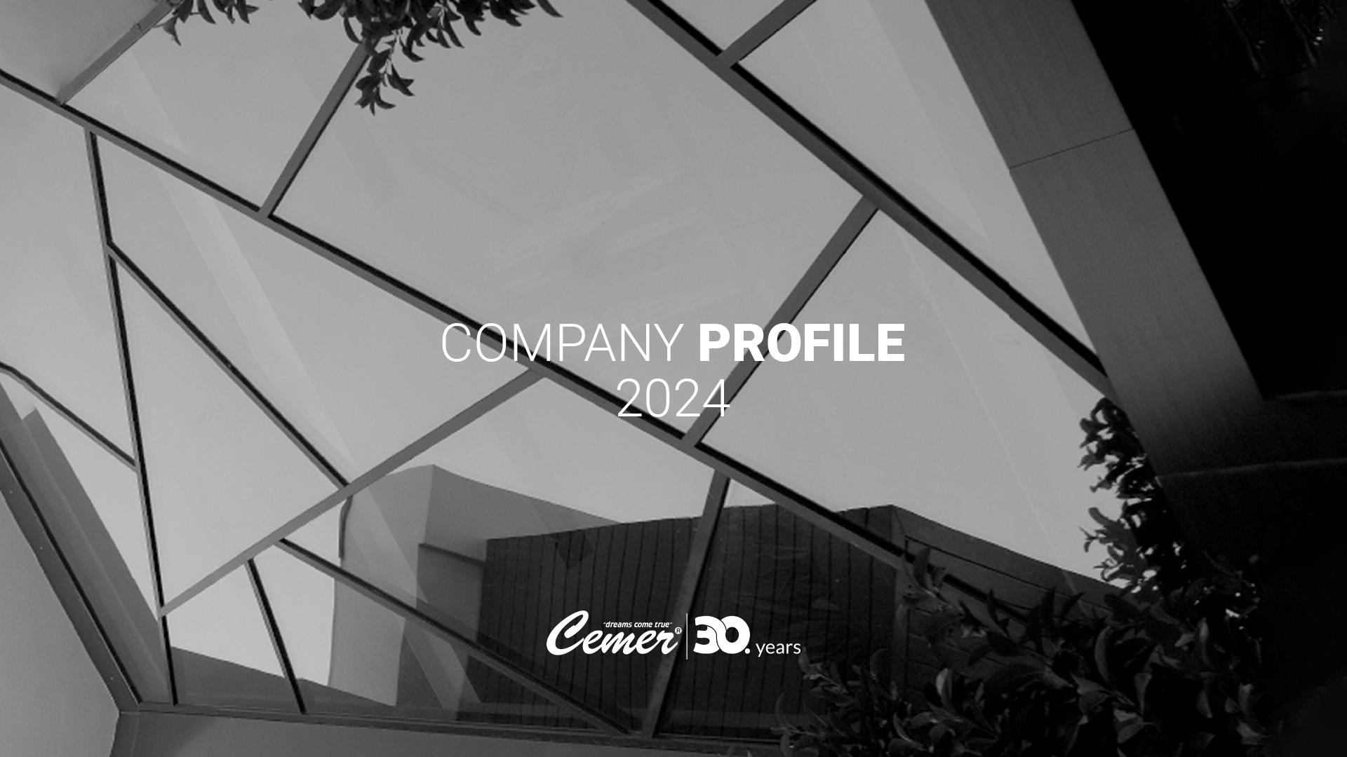 COMPANY PROFILE