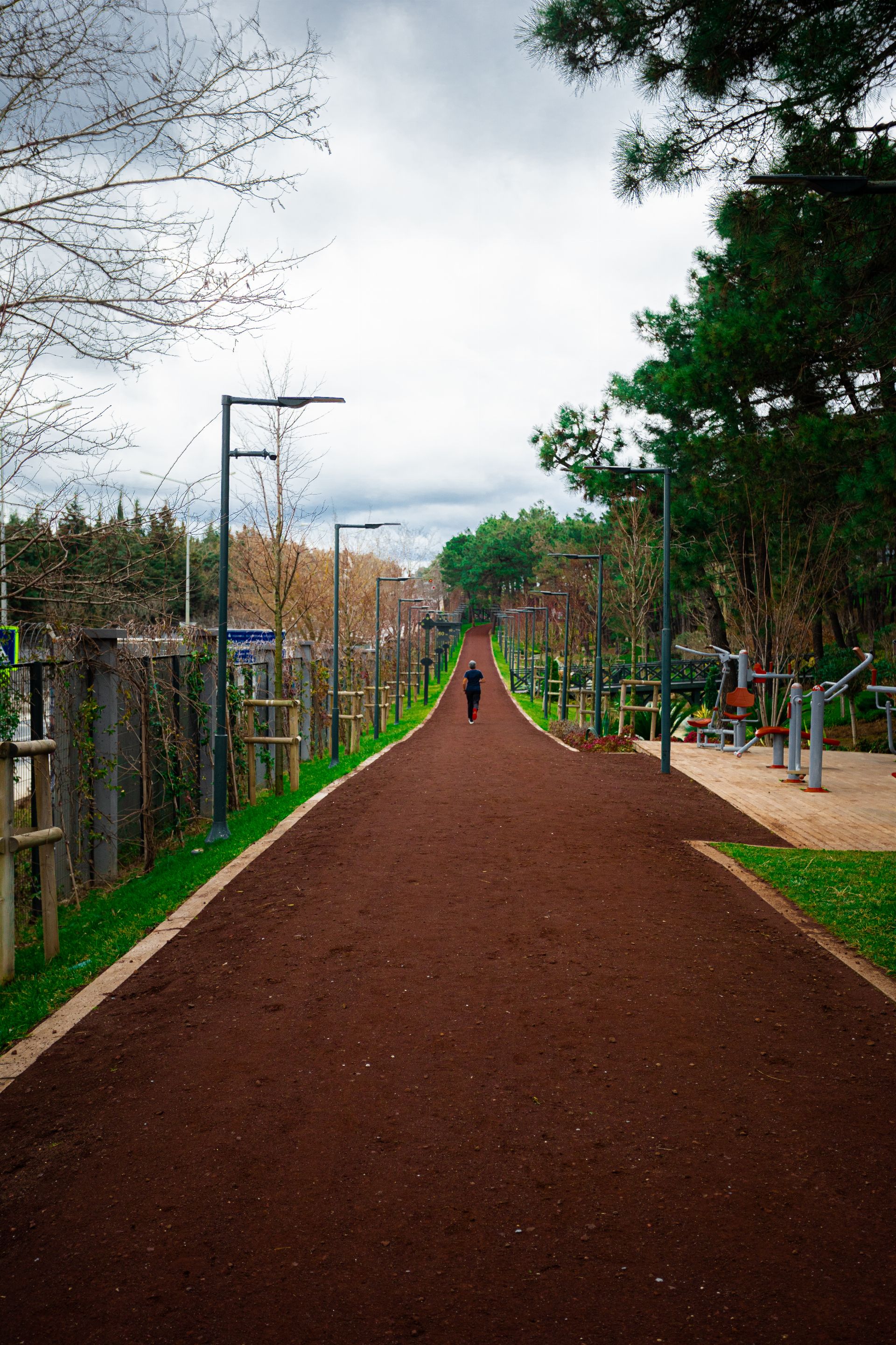 Park İçi Yürüyüş Yolları