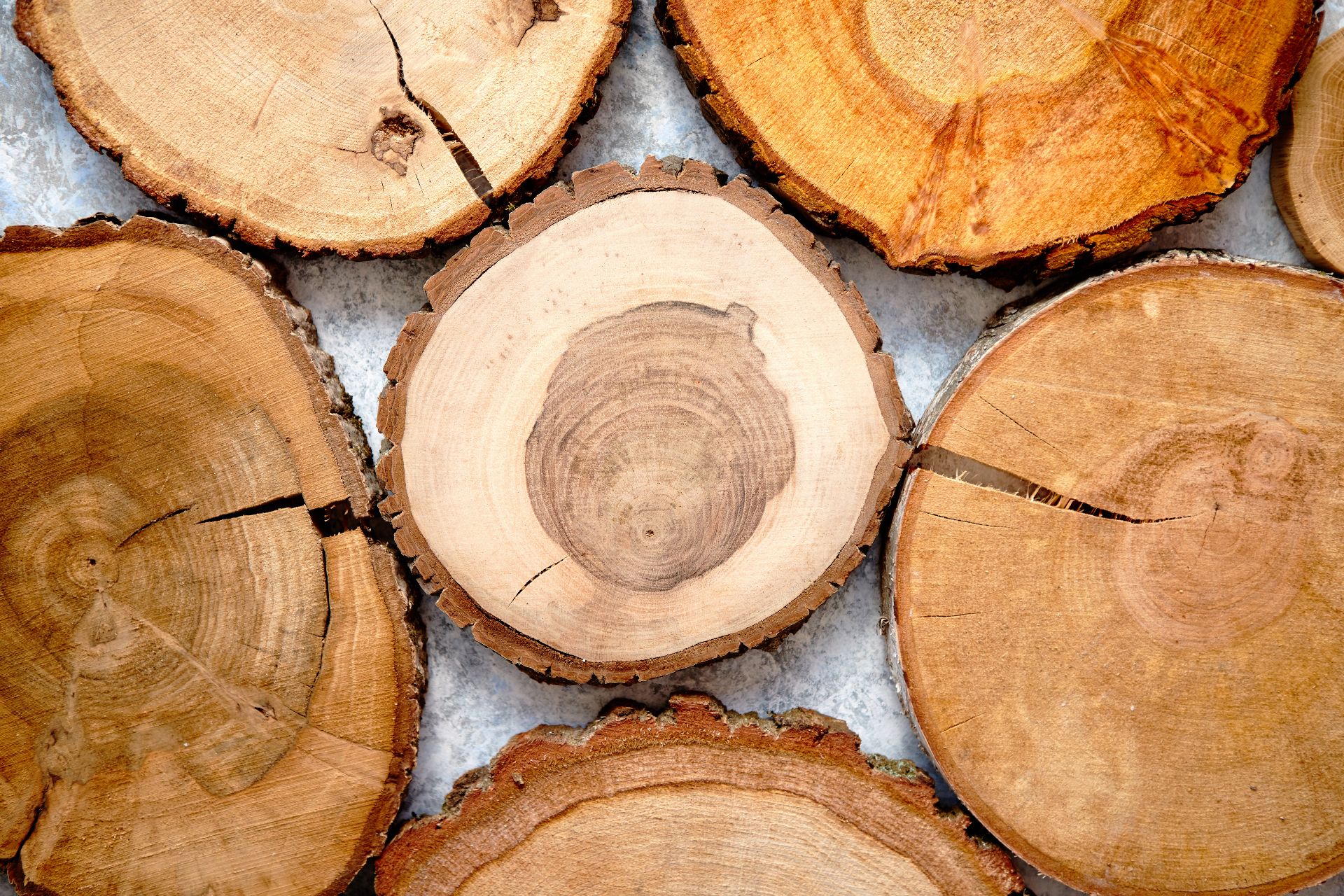 Hangi Ahşap Türü Dış Mekan İçin En İyi?