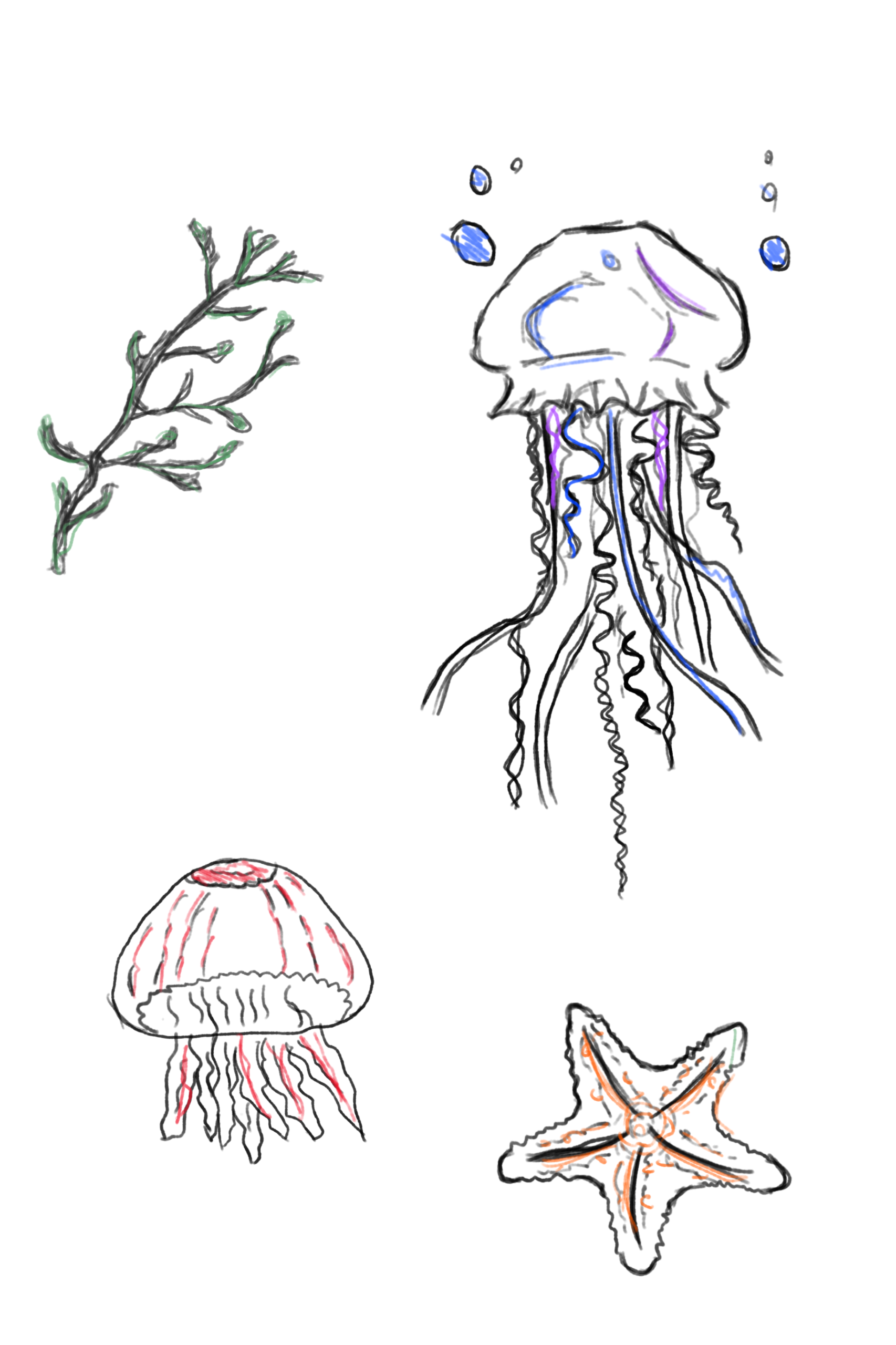 Jellyfish Playground Design Overview